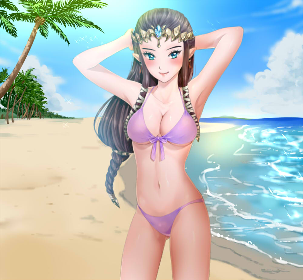 1 Mädchen verführerisch Arme hinter dem Kopf Strand große Brüste Bikini blaue Augen braune Haare Tag lange Haare Betrachter ansehen Bauchnabel Nintendo draußen spitze Ohren Prinzessin Zelda Himmel Lächeln Badeanzug die Legende von Zelda die Legende von Zelda: Twilight-Prinzessin Wasabi (Legemd)