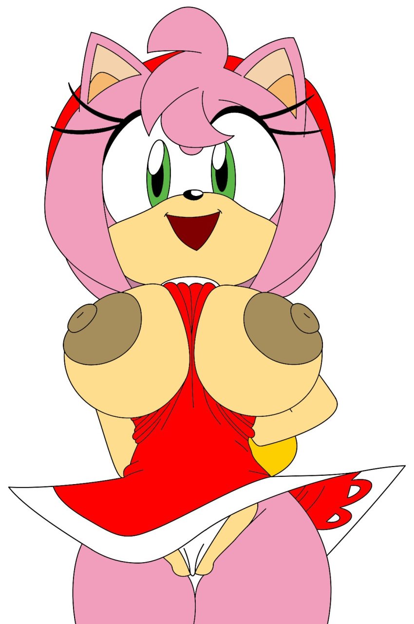 amy_rose große_brüste brüste_raus cameltoe kleidung kleid riesige_brüste höschen robinebra sega