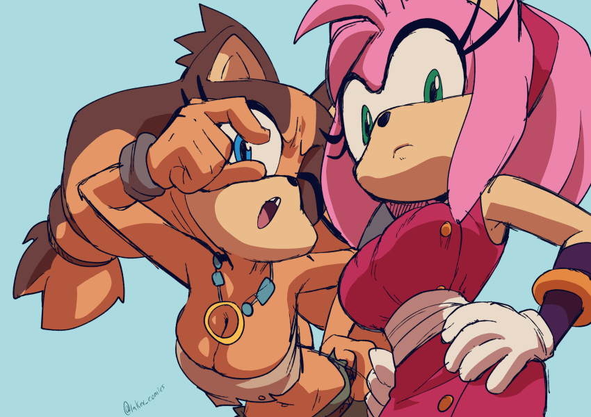 1 Mädchen 2 Mädchen 2D Amy Rose Amy Rose (Boom) Anthro Dachs große Brüste blaue Augen Brüste Dekolleté Farbe Kleid nur weiblich pelzig grüne Augen Hände auf den Hüften hängende Brüste Igel Inker Comics Inkershike JPEG Halskette Sega Sonic Boom Sonic the Hedgehog (Serie) Sticks the Badger Tagme