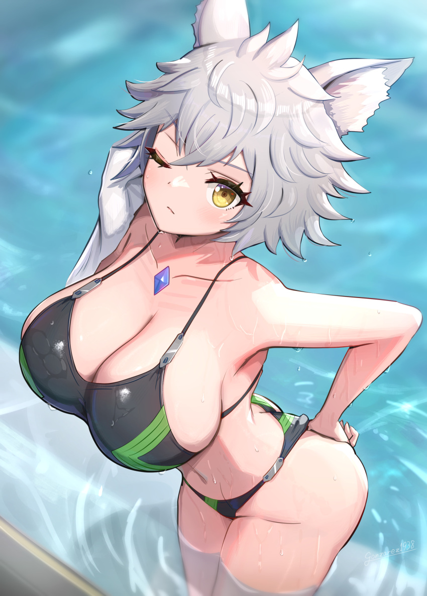 1girl 1girl verführerisch big_breasts bikini cat_ears catgirl spaltung core_crystal gonzarez hips na'el_(xenoblade) nintendo short_hair Swimming_pool Badeanzug thick_highs thighs white_hair wide_hips xenoblade_(series) xenoblade_chronicles_3 xenoblade_chronicles_3:_future_redeemed yellow_eyes